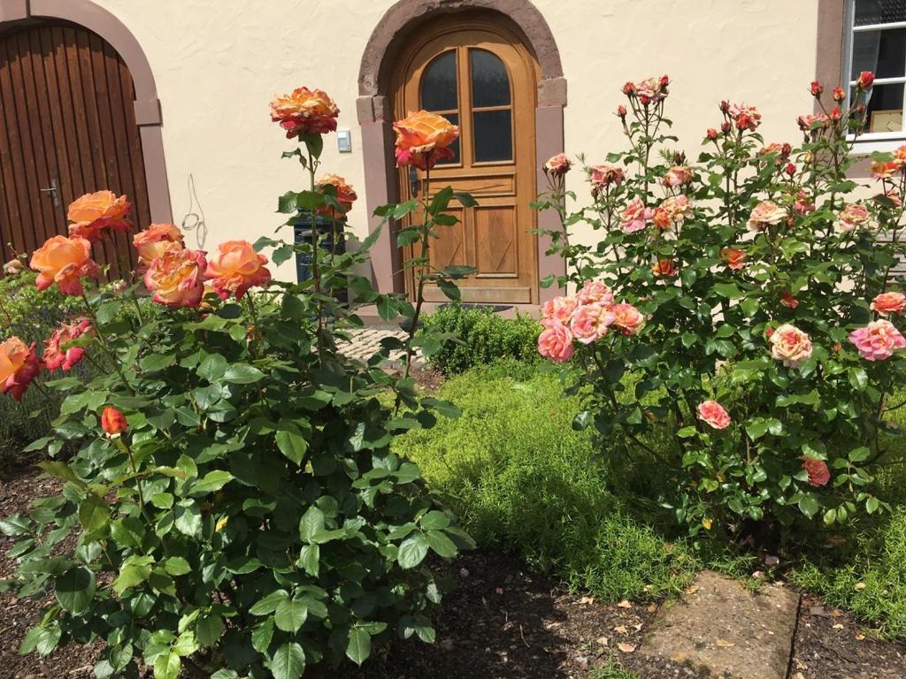 Ferienwohnung in historischem Bauernhaus in der Eifel Mettendorf Exterior foto